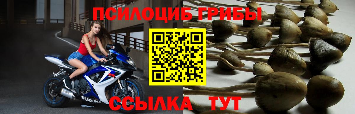 Псилоцибиновые грибы мухоморы  Вход с VPN  Южноуральск  Галлюциногенные грибы Magic Shrooms 